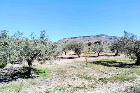 Landejendom i Caudete, Albacete, Caudete - € 149.950 | Ref: SF0574 - foto 13